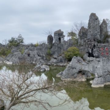 評論圖片 6