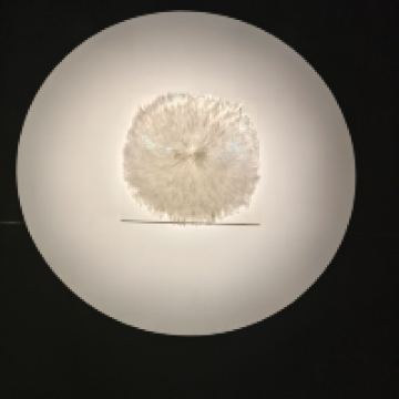 評論圖片 9