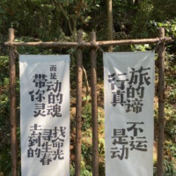 評論圖片 8