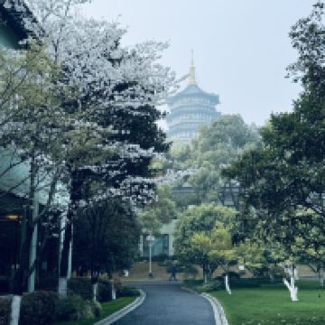 評論圖片 8