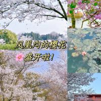 評論圖片 9