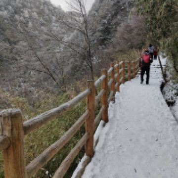 評論圖片 7