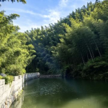 評論圖片 1