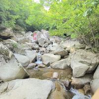 評論圖片 9