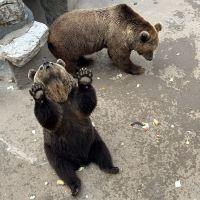評論圖片 2