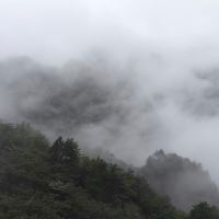 評論圖片 8