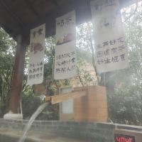 評論圖片 3