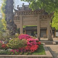 評論圖片 3