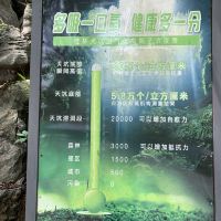 評論圖片 4