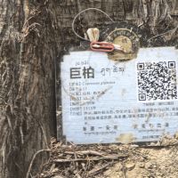 評論圖片 3