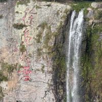 評論圖片 1