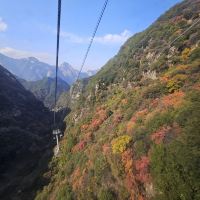 評論圖片 1