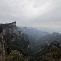 評論圖片 5