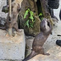 評論圖片 5