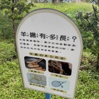 評論圖片 6