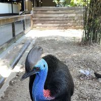 評論圖片 6