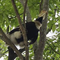 評論圖片 8