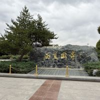 評論圖片 2