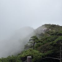 評論圖片 2