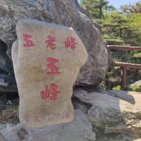 評論圖片 3