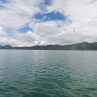 評論圖片 1