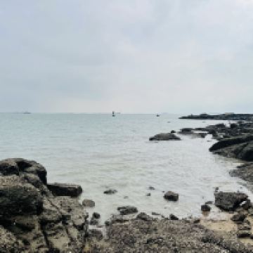 評論圖片 1