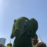 評論圖片 6