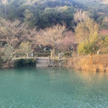 評論圖片 2