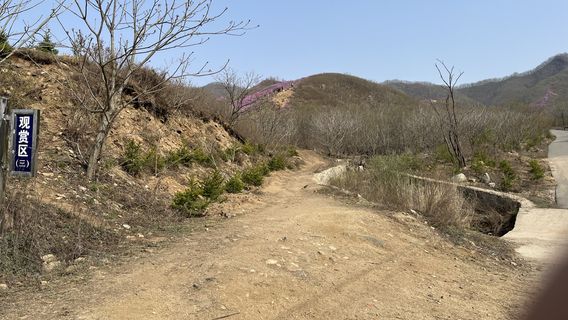 Xiuyan Huangling Yingshanhong Scenic Spot