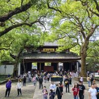 評論圖片 6