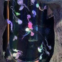評論圖片 3