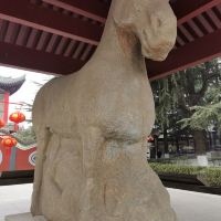 評論圖片 4