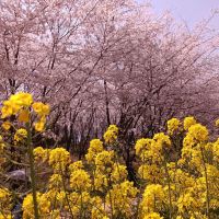 評論圖片 8