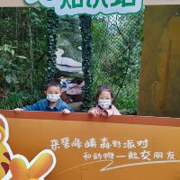 評論圖片 6