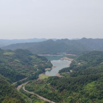 評論圖片 2