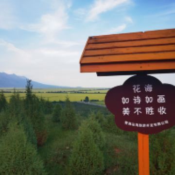 評論圖片 5