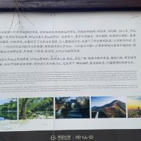 評論圖片 2