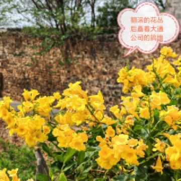評論圖片 5