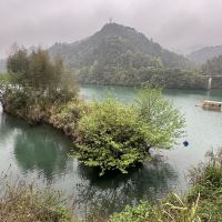 評論圖片 7