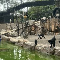 評論圖片 2