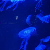 評論圖片 3