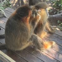 評論圖片 4