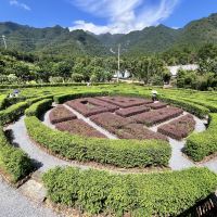 評論圖片 3