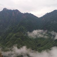 評論圖片 5