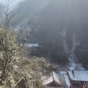 評論圖片 5