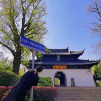 評論圖片 5