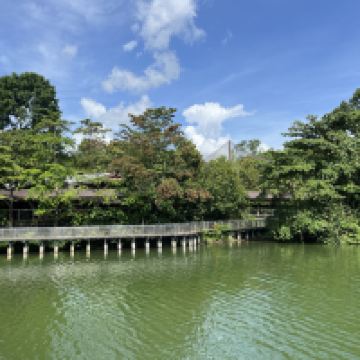 評論圖片 5