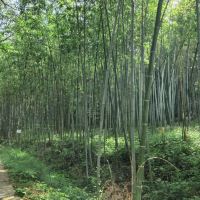 評論圖片 4