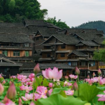 評論圖片 6