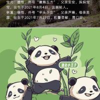評論圖片 3